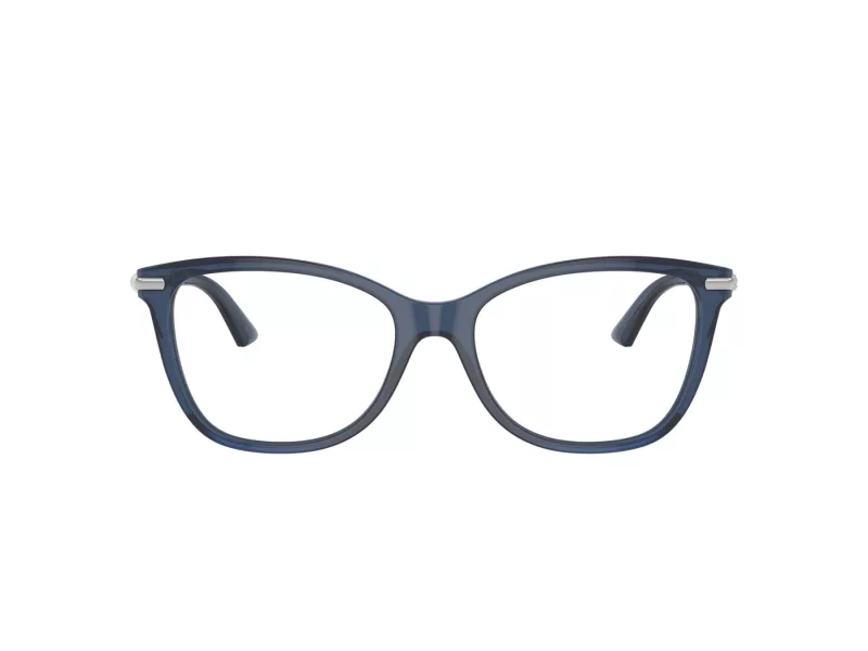 Jimmy Choo Glasögon JC 3007HB 5035