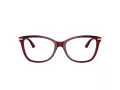 Jimmy Choo Glasögon JC 3007HB 5062