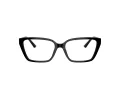 Jimmy Choo Glasögon JC 3008 5000