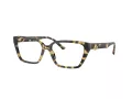 Jimmy Choo Glasögon JC 3008 5004