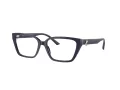 Jimmy Choo Glasögon JC 3008 5016