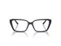 Jimmy Choo Glasögon JC 3008 5016
