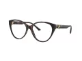Jimmy Choo Glasögon JC 3009 5002