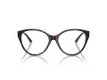 Jimmy Choo Glasögon JC 3009 5002