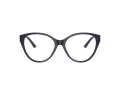 Jimmy Choo Glasögon JC 3009 5016