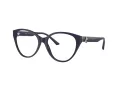 Jimmy Choo Glasögon JC 3009 5016