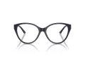 Jimmy Choo Glasögon JC 3009 5016