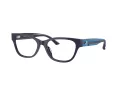 Jimmy Choo Glasögon JC 3010U 5016