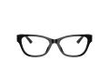 Jimmy Choo Glasögon JC 3010U 5017