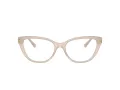 Jimmy Choo Glasögon JC 3011 5025