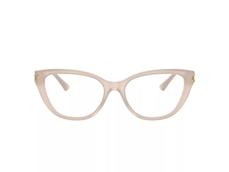 Jimmy Choo Glasögon JC 3011 5025