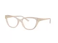 Jimmy Choo Glasögon JC 3011 5025