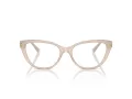 Jimmy Choo Glasögon JC 3011 5025