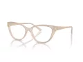Jimmy Choo Glasögon JC 3011 5025