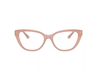 Jimmy Choo Glasögon JC 3011 5027