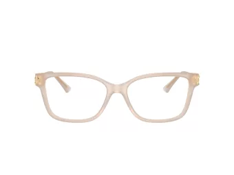 Jimmy Choo Glasögon JC 3012 5025
