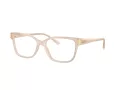 Jimmy Choo Glasögon JC 3012 5025