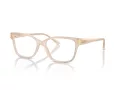 Jimmy Choo Glasögon JC 3012 5025