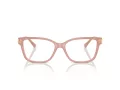 Jimmy Choo Glasögon JC 3012 5027