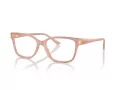 Jimmy Choo Glasögon JC 3012 5027