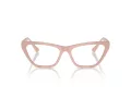 Jimmy Choo Glasögon JC 3014 5014