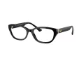 Jimmy Choo Glasögon JC 3015 5000