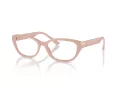 Jimmy Choo Glasögon JC 3015 5014