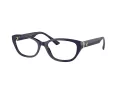 Jimmy Choo Glasögon JC 3015 5023