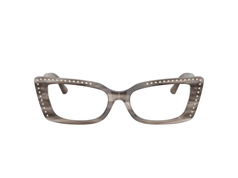 Jimmy Choo Glasögon JC 3018B 5056
