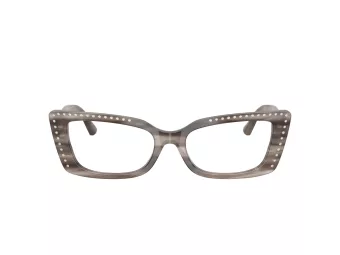 Jimmy Choo Glasögon JC 3018B 5056