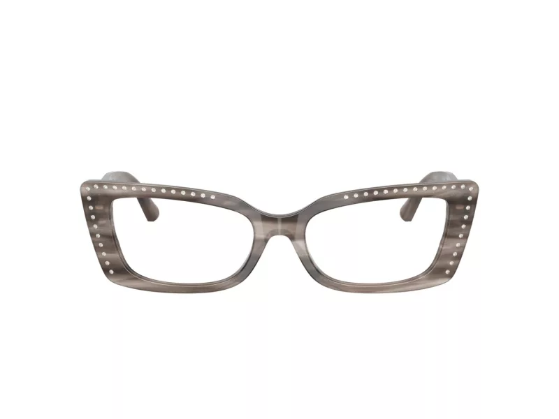 Jimmy Choo Glasögon JC 3018B 5056