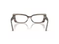 Jimmy Choo Glasögon JC 3018B 5056