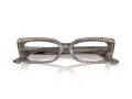 Jimmy Choo Glasögon JC 3018B 5056