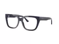 Jimmy Choo Glasögon JC 3019B 5016