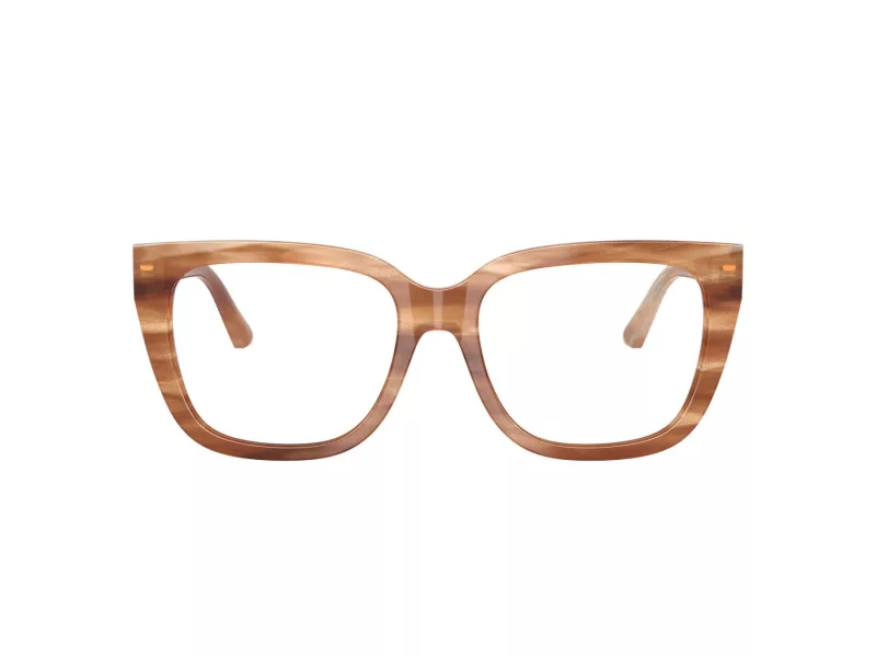 Jimmy Choo Glasögon JC 3019B 5055