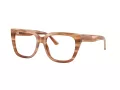 Jimmy Choo Glasögon JC 3019B 5055