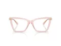 Jimmy Choo Glasögon JC 3020B 5034