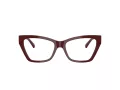 Jimmy Choo Glasögon JC 3021H 5057