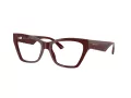 Jimmy Choo Glasögon JC 3021H 5057