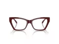 Jimmy Choo Glasögon JC 3021H 5057