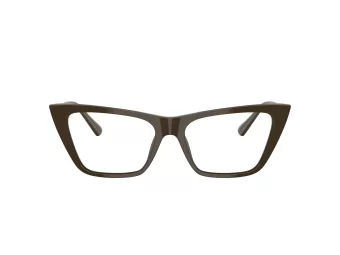 Jimmy Choo Glasögon JC 3025 5060
