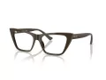 Jimmy Choo Glasögon JC 3025 5060
