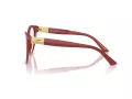 Jimmy Choo Glasögon JC 3026 5013