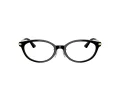 Jimmy Choo Glasögon JC 3029D 5000