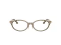 Jimmy Choo Glasögon JC 3029D 5051