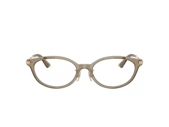 Jimmy Choo Glasögon JC 3029D 5051