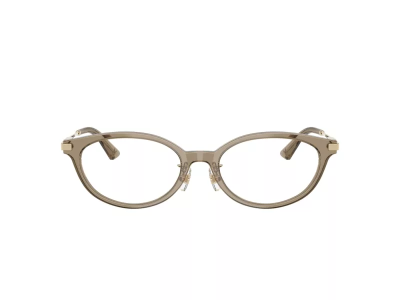 Jimmy Choo Glasögon JC 3029D 5051