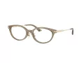 Jimmy Choo Glasögon JC 3029D 5051