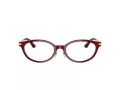 Jimmy Choo Glasögon JC 3029D 5062