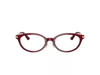Jimmy Choo Glasögon JC 3029D 5062